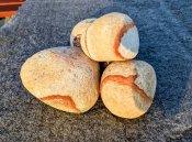 Whatsapp-image-2026-03-18-at-07-38-03-1_2