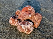 Whatsapp-image-2026-03-18-at-07-38-03