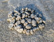 Whatsapp-image-2026-03-18-at-08-05-38